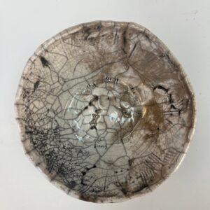 Dinosaur Bowl